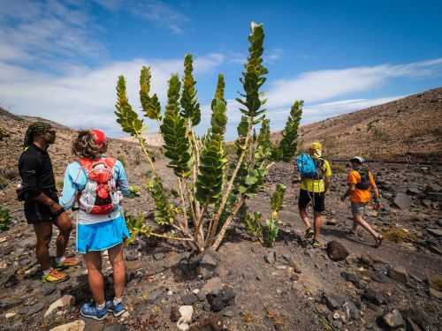 FUERTEVENTURA DESERT RUN 2019